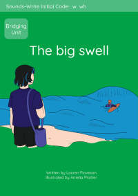 BU3 the big swell cover